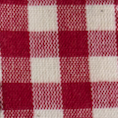 SUMMER SALE : MINI in CHECK